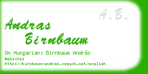 andras birnbaum business card