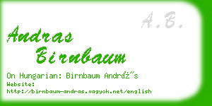 andras birnbaum business card